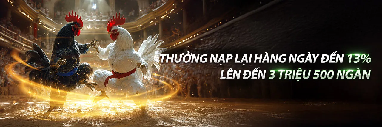 Sân đấu đá gà trực tuyến kịch tính tại dp568 code