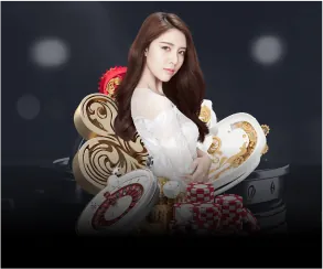 Hoàn trả hàng ngày dp568 code